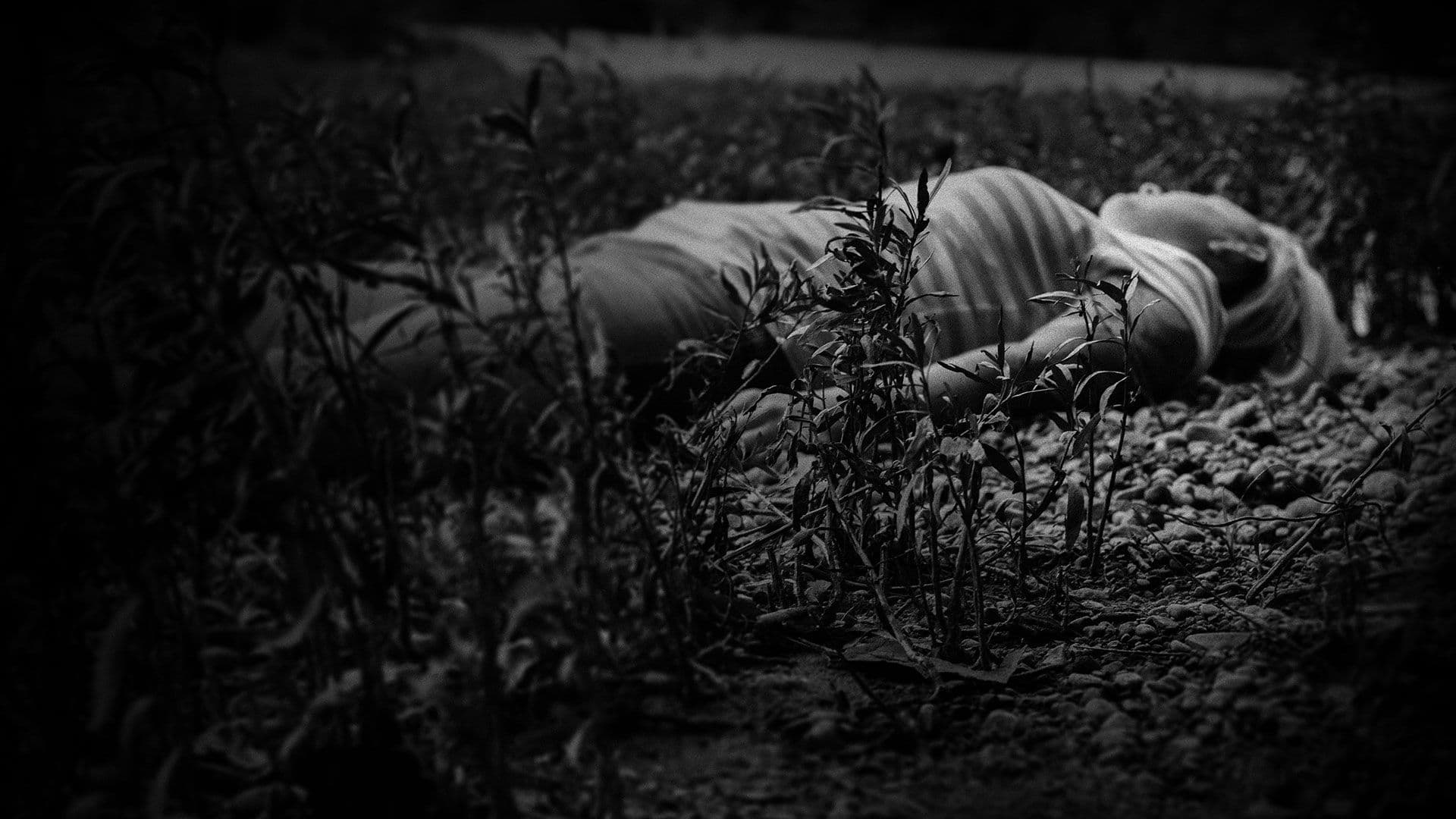 Boom plays dead — image 1