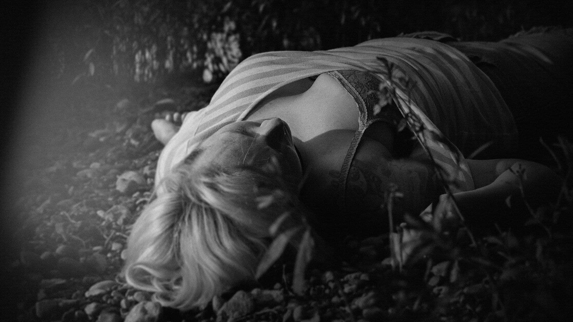Boom plays dead — image 4