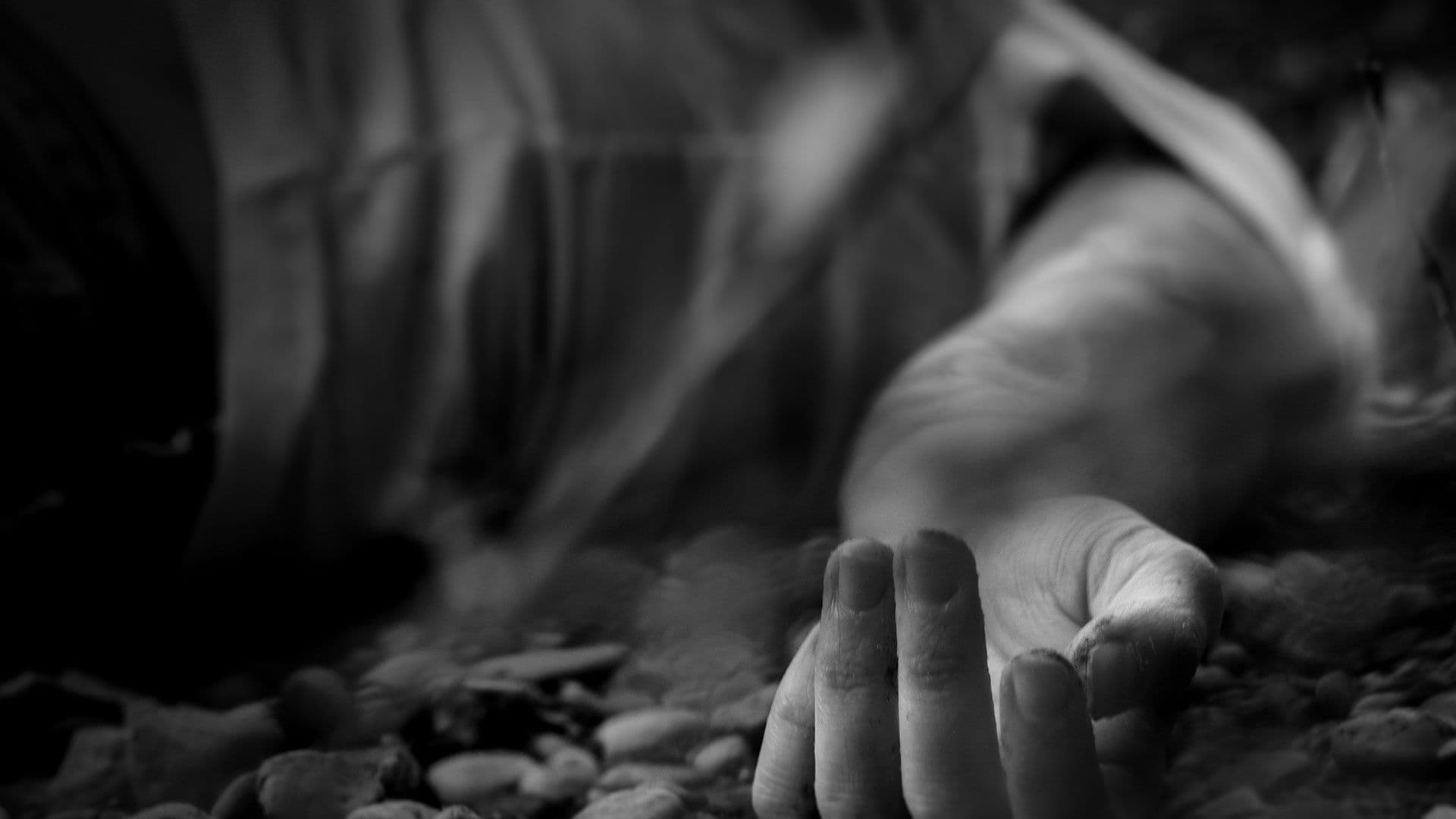 Boom plays dead — image 2