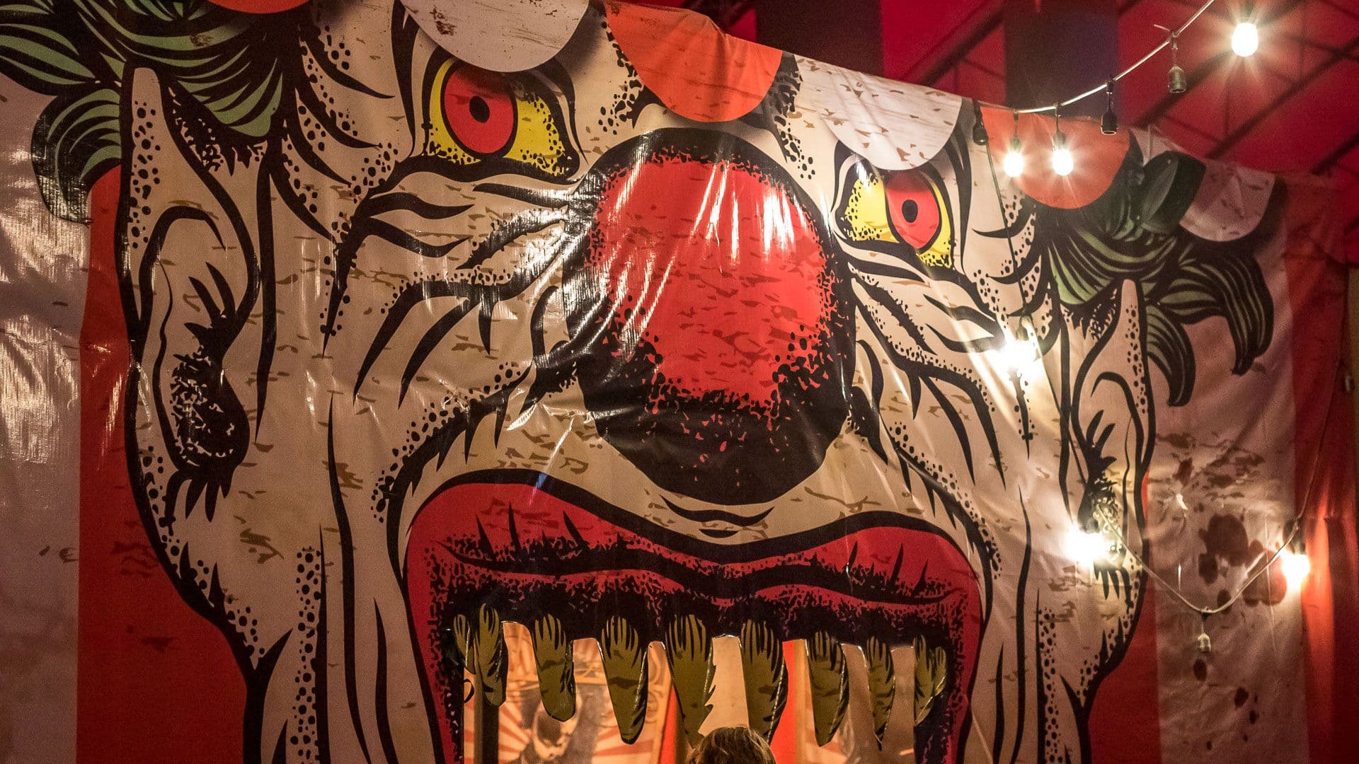 Indy Scream Park — image 4